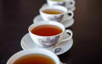 Teekulttuurit eri puolilla maailmaa -seminaari la 15.3.2025